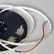 3528 No-waterproof led Flex strip,led strip,led strips,led mr16,led bule,led Spotlight,Tube Light,Wall Washing Light,Ceiling Light